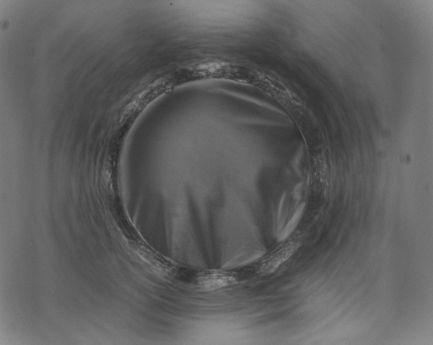 X0000074210754200609081531