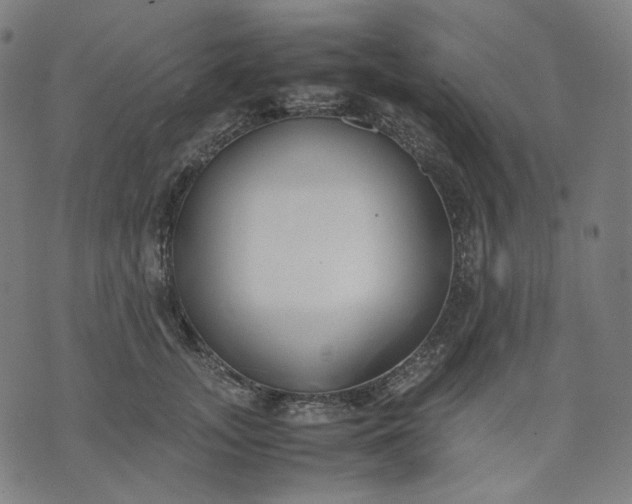 X0000074210755200609081531