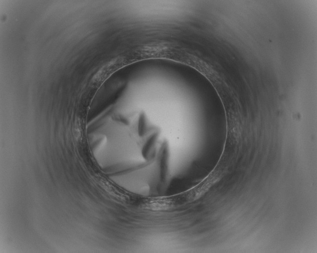 X0000074210758200609081531