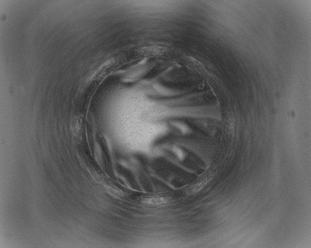 X0000074210759200609081531