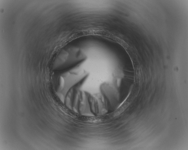 X0000074210760200609081531