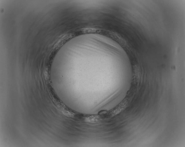 X0000074210761200609081531