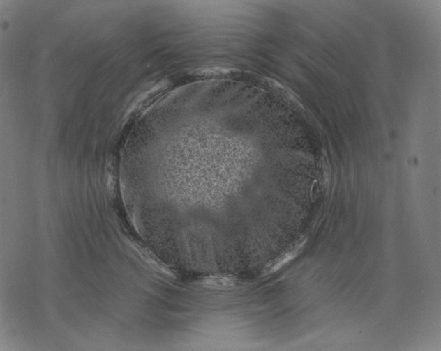 X0000074210762200609081531