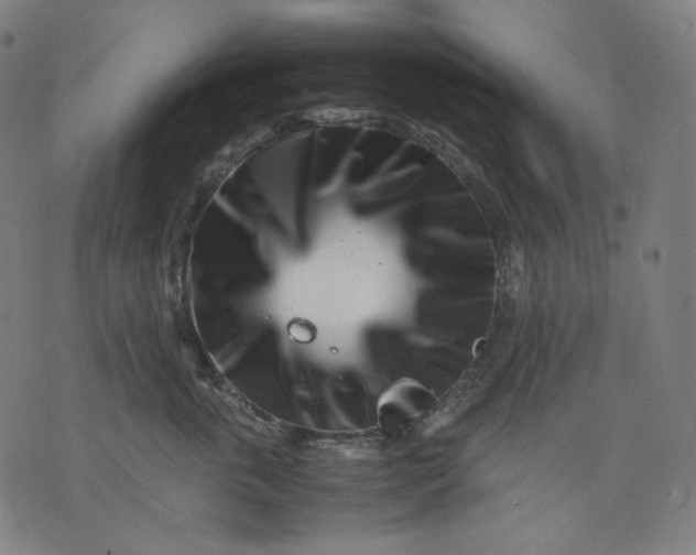 X0000074210763200609081531