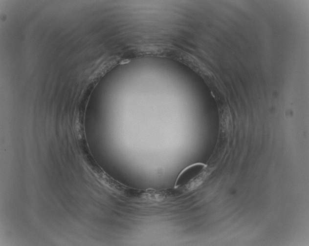 X0000074210764200609081531