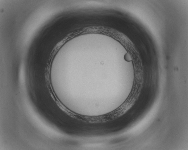 X0000074210765200609081531