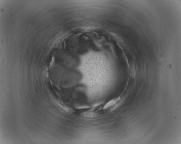 X0000074210766200609081531