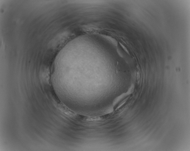 X0000074210767200609081531