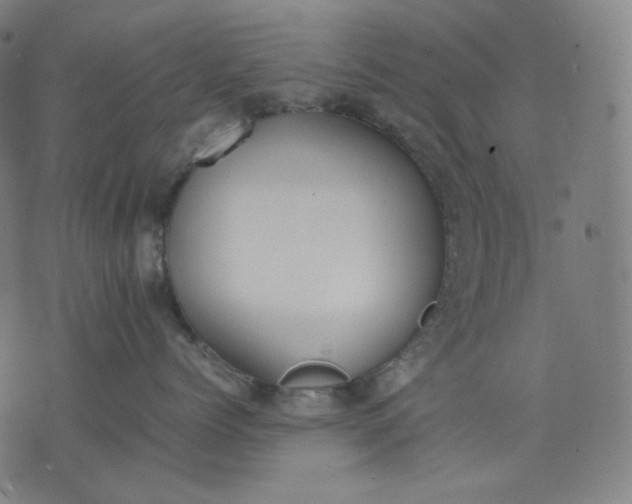 X0000074210768200609081531