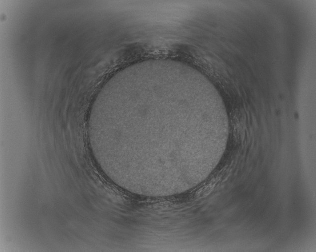 X0000074210769200609081530