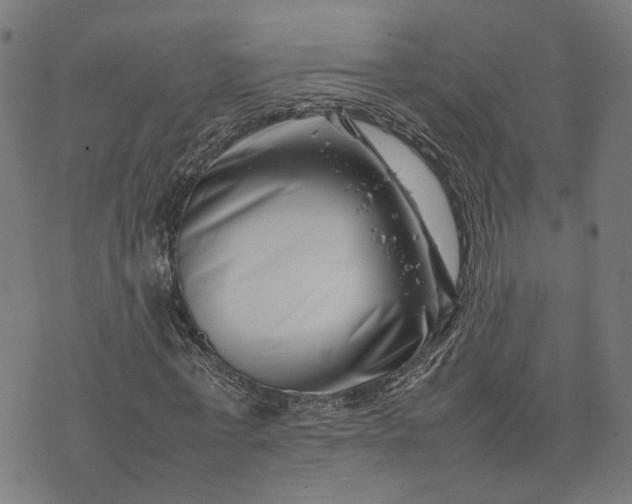 X0000074210771200609081530