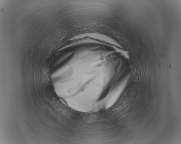 X0000074210772200609081530