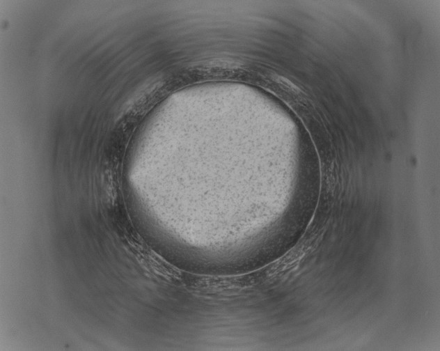 X0000074210774200609081530