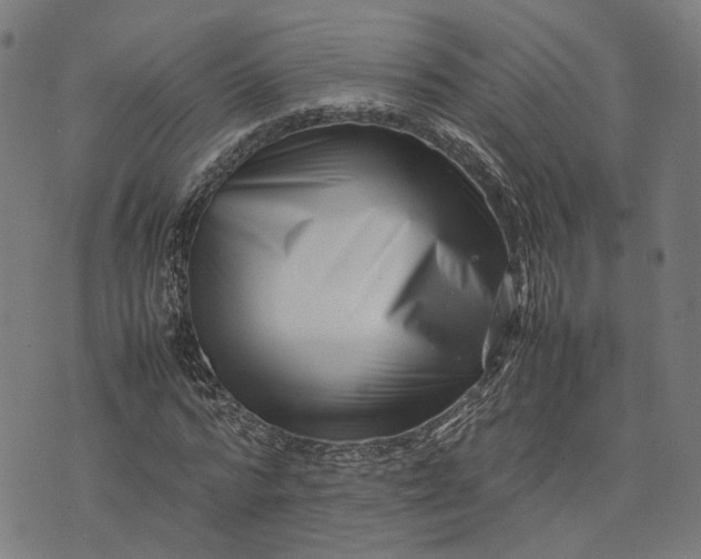 X0000074210776200609081530