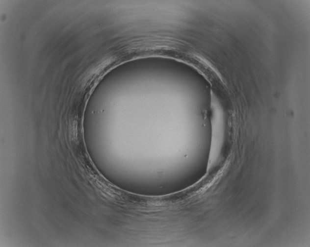 X0000074210777200609081530