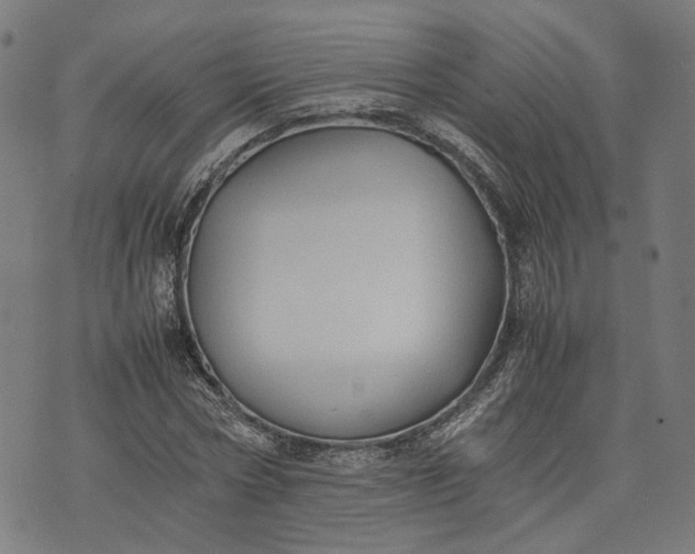 X0000074210778200609081530