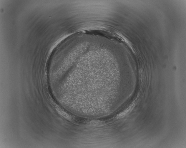 X0000074210779200609081530