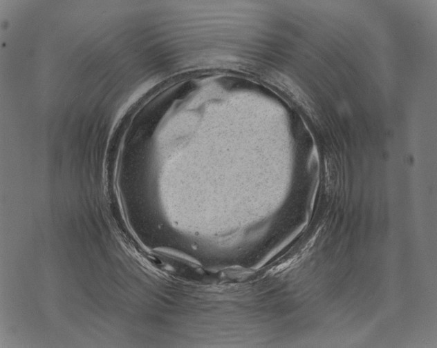 X0000074210780200609081530