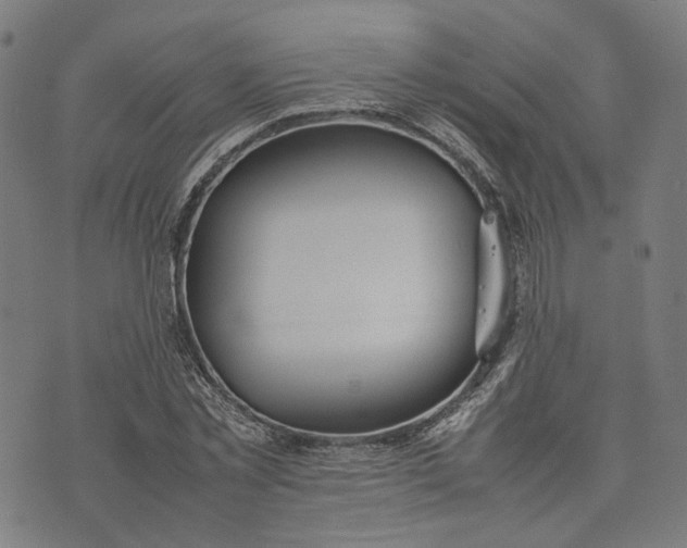 X0000074210781200609081530