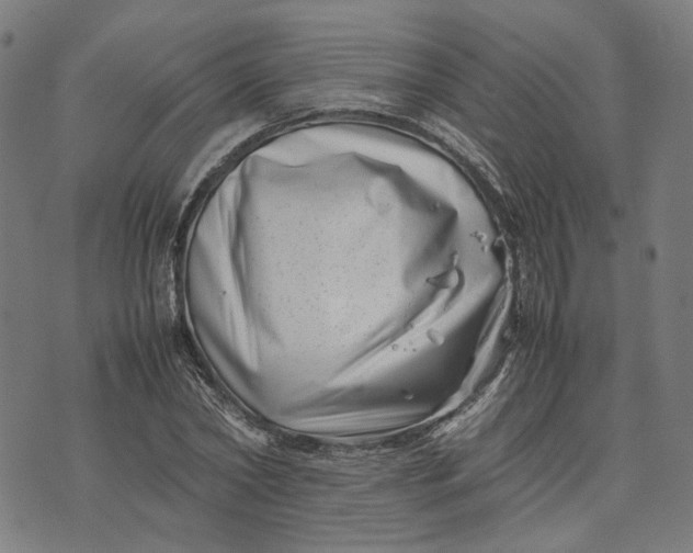 X0000074210782200609081530