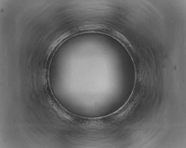 X0000074210786200609081530