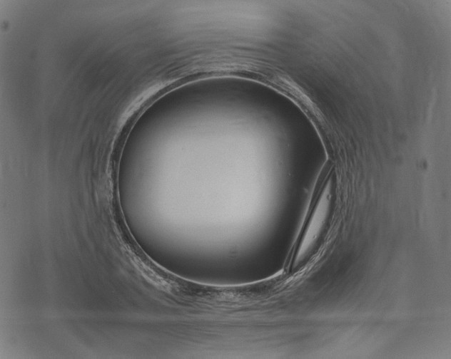 X0000074210787200609081530