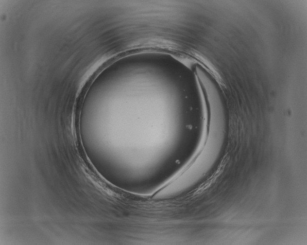 X0000074210788200609081530