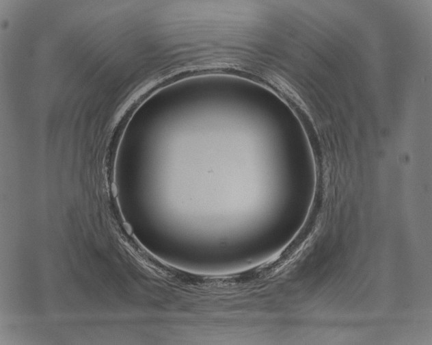 X0000074210789200609081530