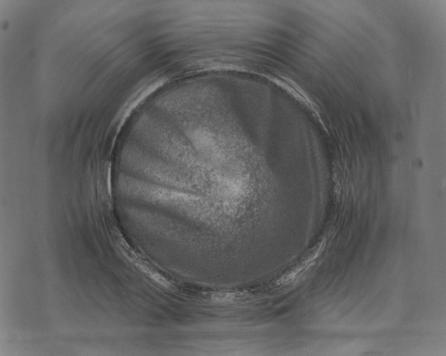 X0000074210790200609081530