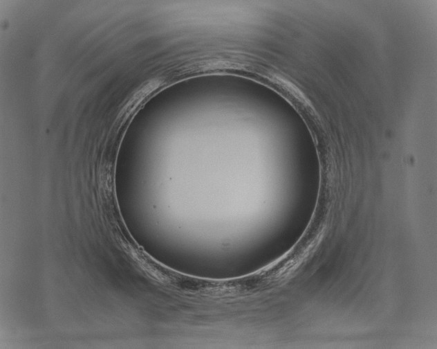 X0000074210793200609081530