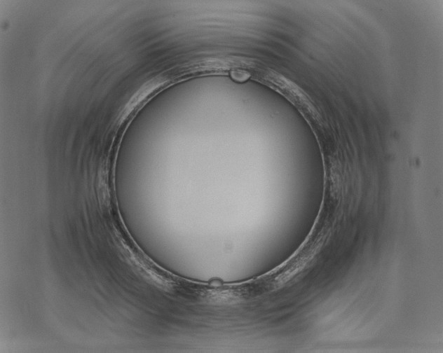 X0000074210794200609081530