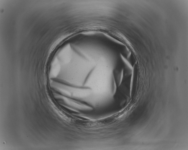 X0000074210795200609081530