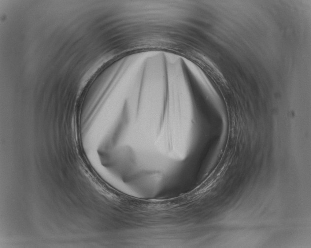 X0000074210796200609081530