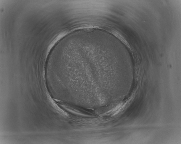 X0000074210797200609081530