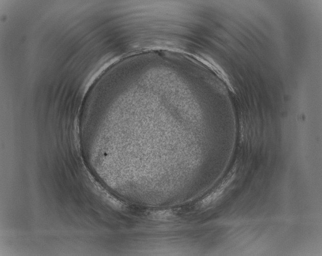 X0000074210798200609081530