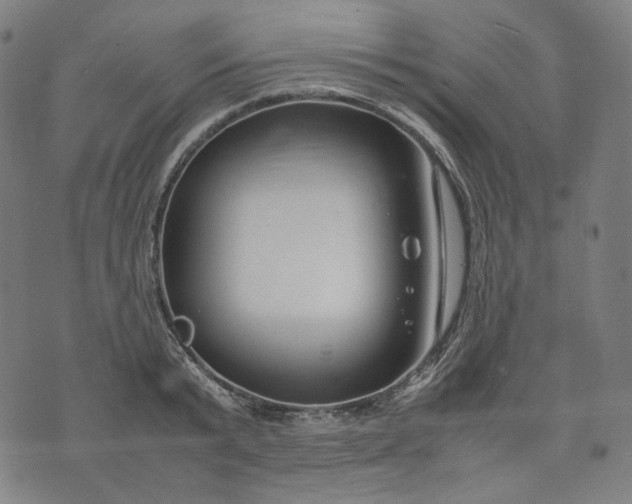 X0000074210799200609081530