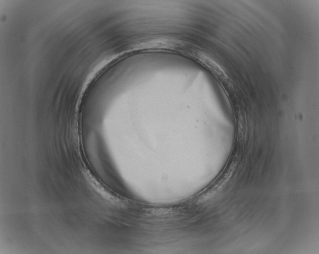 X0000074210800200609081529