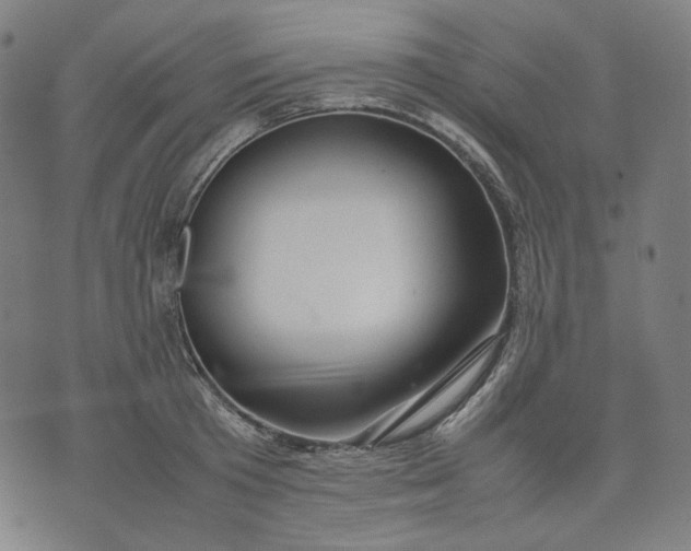 X0000074210801200609081529