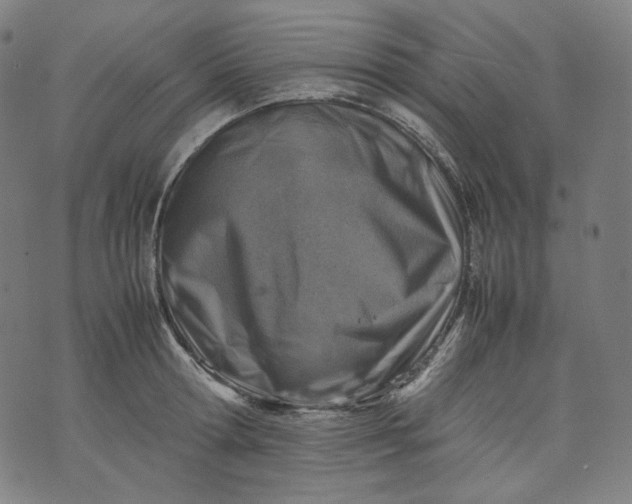 X0000074210802200609081529