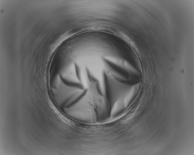 X0000074210803200609081529