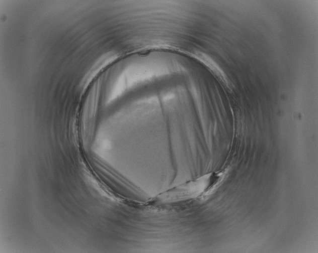 X0000074210806200609081529