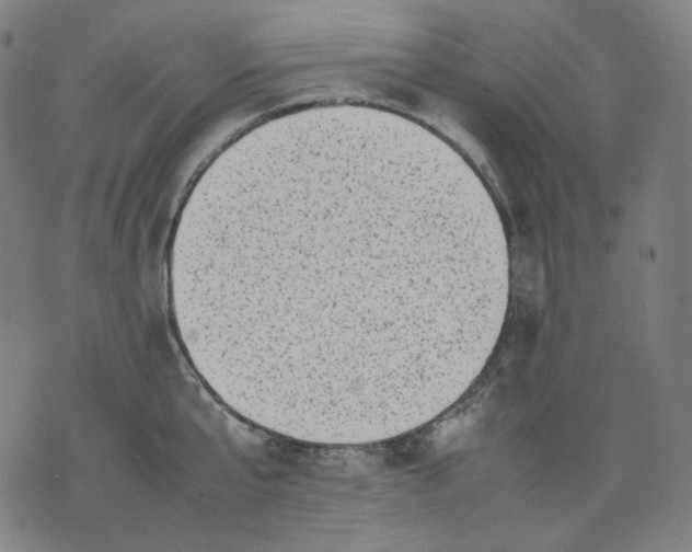 X0000074210807200609081529