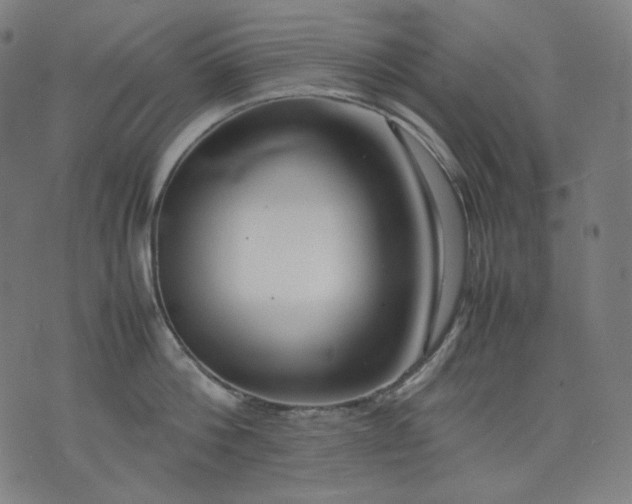 X0000074210812200609081529