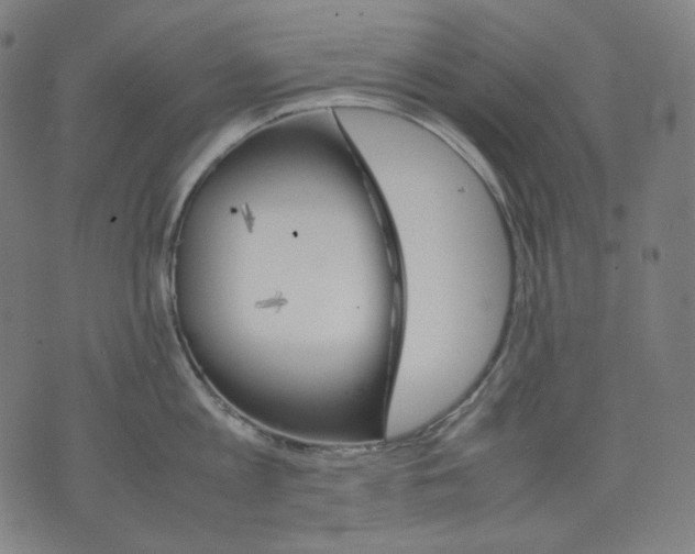 X0000074210813200609081529