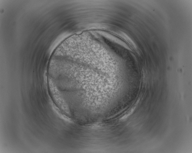 X0000074210814200609081529