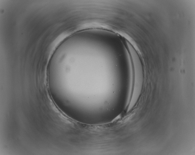 X0000074210815200609081529