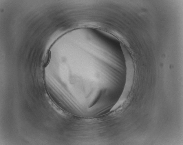 X0000074210816200609081529