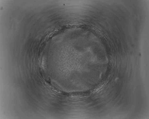 X0000074210818200609081528