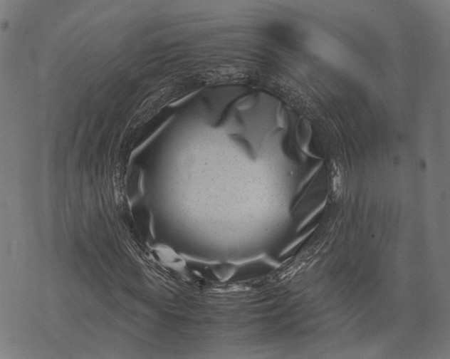 X0000074210819200609081528