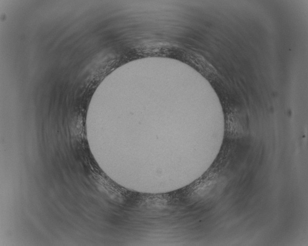 X0000074210820200609081529